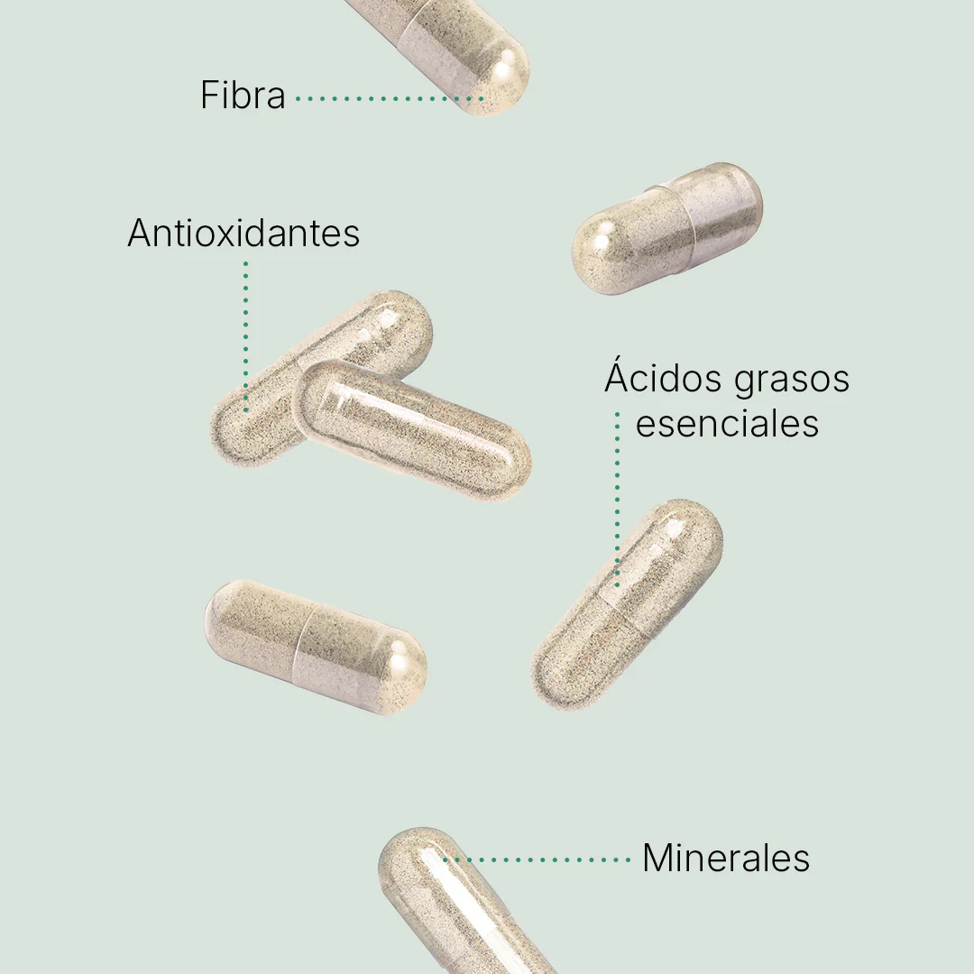 Imagen del producto 3